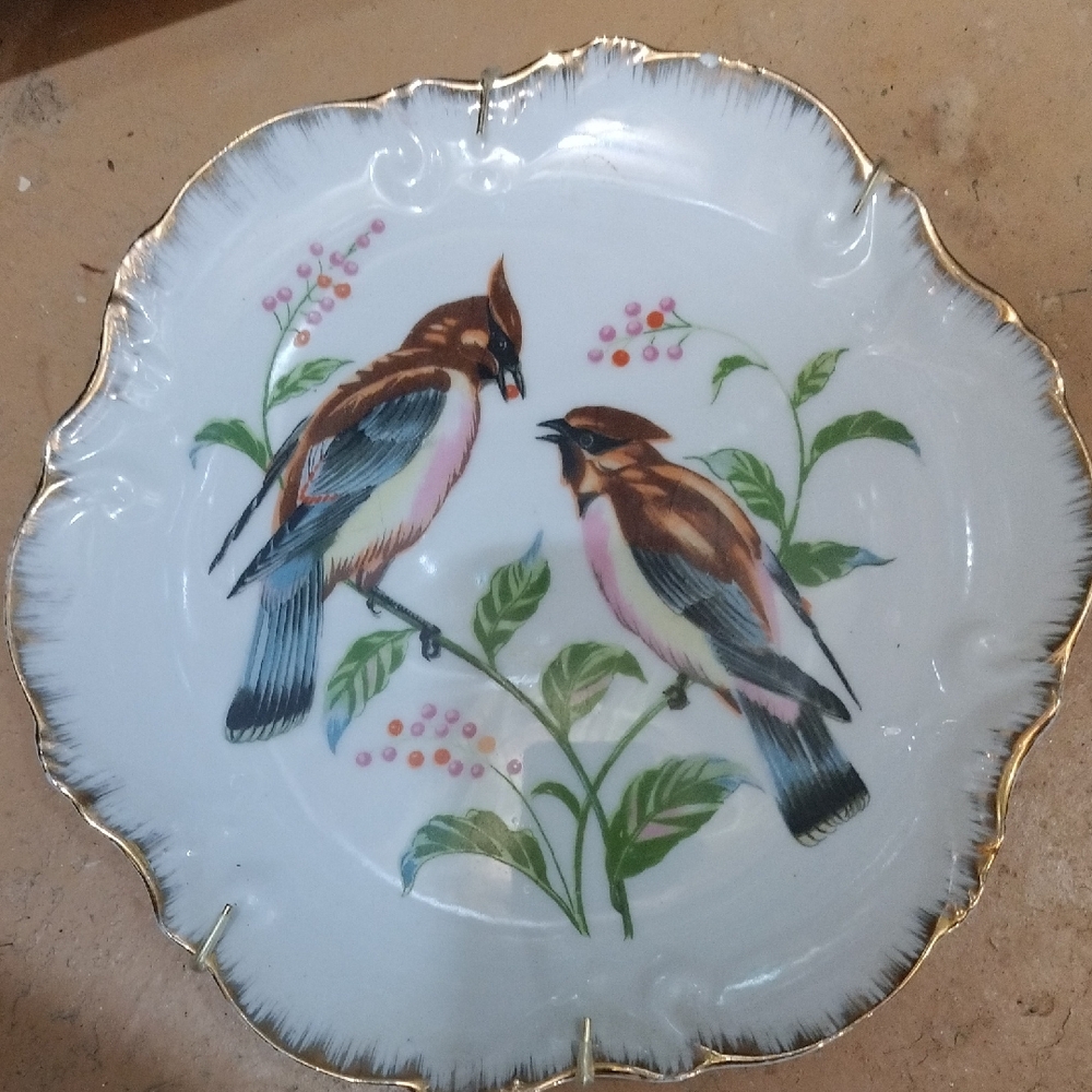 White and Brown Ornithological Wall Decor Plate